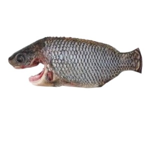 Fresh Tilapia Fish 1 Kg